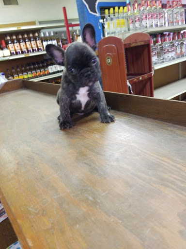 Liquor Store «Kirby Liquor Store», reviews and photos, 4855 Seguin Rd, San Antonio, TX 78219, USA