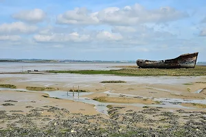 Motney Hill Nature Reserve image