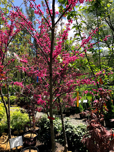 Garden Center «Stonewall Garden Center», reviews and photos, 4675 PA-447, Canadensis, PA 18325, USA