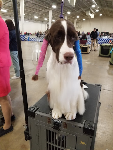 Fairground «Del Mar Fairgrounds», reviews and photos, 2260 Jimmy Durante Blvd, Del Mar, CA 92014, USA