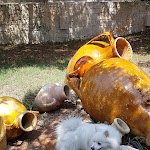 Photo n°1 de l'avis de Pinco.a fait le 05/07/2020 à 20:14 sur le  Hotel reverse à Carovigno