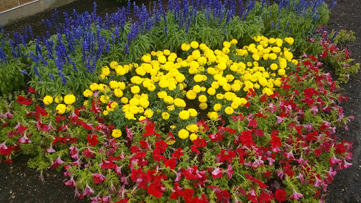 Casino «Hard Rock Rocksino Northfield Park», reviews and photos, 10777 Northfield Rd, Northfield, OH 44067, USA