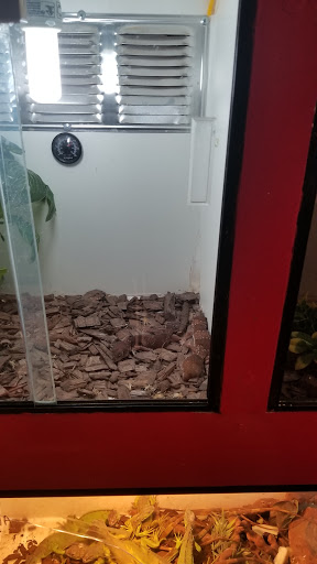 Pet Store «Pet Source 1901», reviews and photos, 1901 W 8th St B, Los Angeles, CA 90057, USA