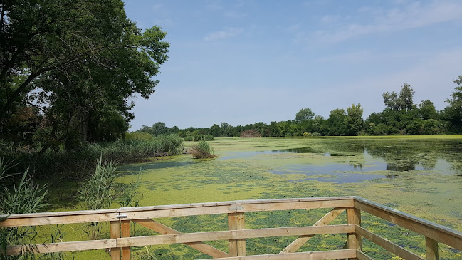 Nature Centrum Vendégház - Győrtelek