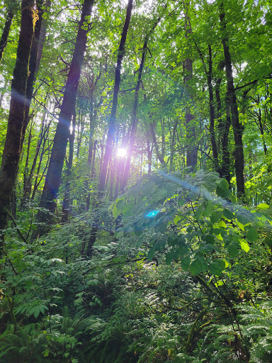 Park «Marquam Nature Park», reviews and photos, SW Marquam St, Portland, OR 97201, USA