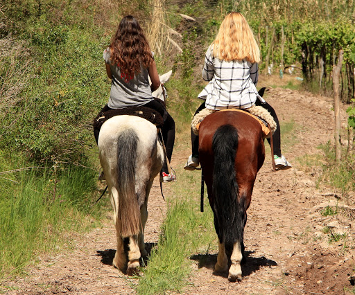 Places to ride a horse in Mendoza