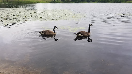 Tourist Attraction «Governor Ames Estate», reviews and photos, 35 Oliver St, North Easton, MA 02356, USA