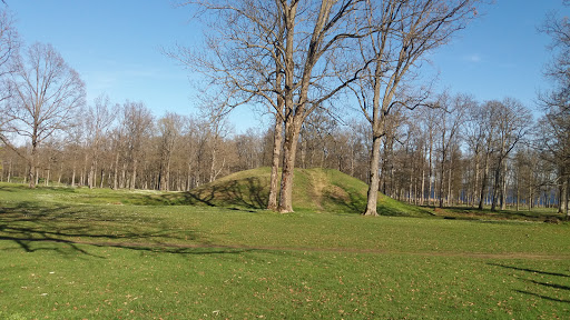 The Borre Mounds
