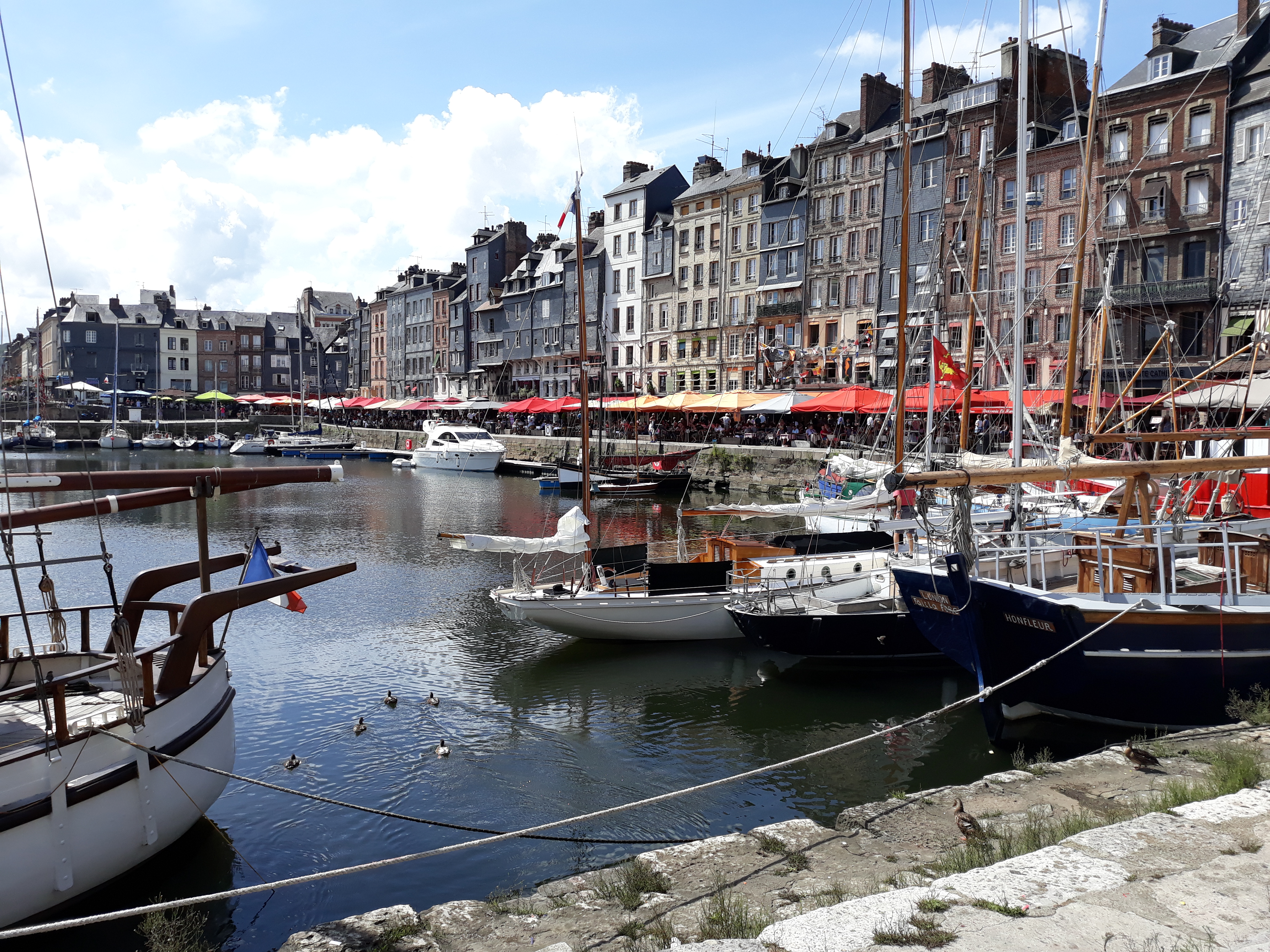 Photo n° 13 de l'avis de Marianne.e fait le 24/08/2018 à 16:05