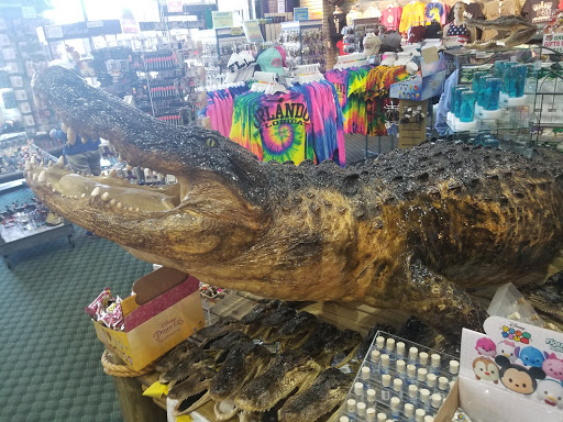 Gift Shop «Bargain World», reviews and photos, 12236 S Apopka Vineland # 200, Orlando, FL 32836, USA