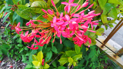 Casino «Hialeah Park», reviews and photos, 2200 E 4th Ave, Hialeah, FL 33013, USA