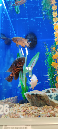 Pet Supply Store «PetSmart», reviews and photos, 2525 W Wheatland Rd, Dallas, TX 75237, USA