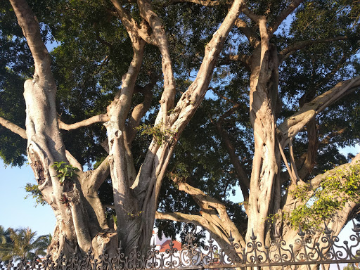 History Museum «Henry Morrison Flagler Museum», reviews and photos, 1 Whitehall Way, Palm Beach, FL 33480, USA