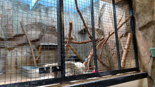 Zoo «Miller Park Zoo», reviews and photos, 1020 S Morris Ave, Bloomington, IL 61701, USA