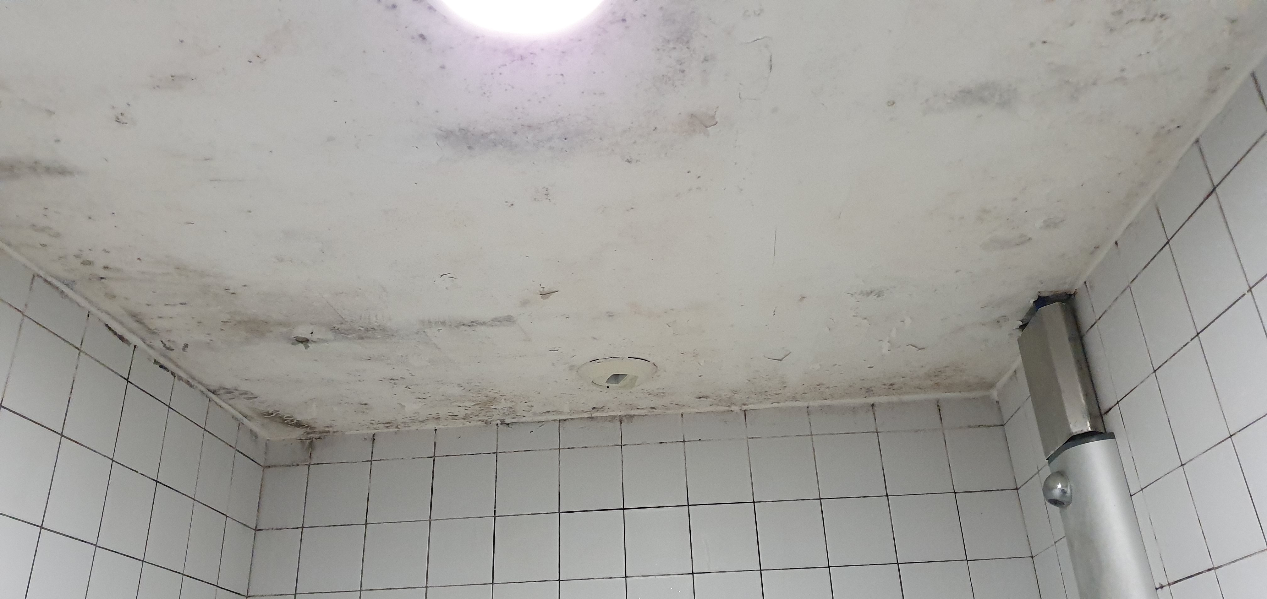Photo n° 1 de l'avis de Damien.l fait le 13/08/2019 à 13:05