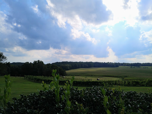 Winery «Winzerwald Winery», reviews and photos, 26300 North Indian Lake Rd, Bristow, IN 47515, USA