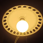 Photo n°1 de l'avis de Alessia.a fait le 08/09/2022 à 21:02 sur le  Trattoria del Moro à Ponteranica