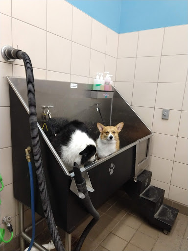 Pet Supply Store «Pet Supplies Plus», reviews and photos, 1810 Declaration Dr, Independence, KY 41051, USA