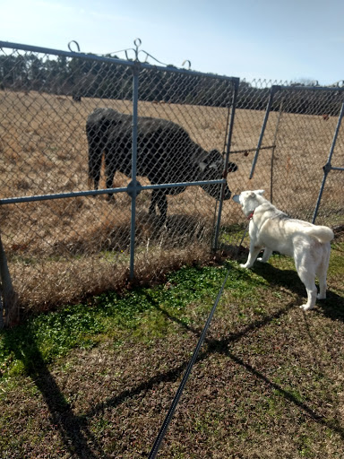 Shopping Mall «Conway Towne Centre Shopping Center», reviews and photos, 201 Skyline Dr, Conway, AR 72032, USA