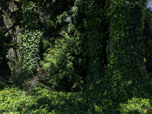 Performing Arts Theater «Centerstage Theatre», reviews and photos, 3200 SW Dash Point Rd, Federal Way, WA 98023, USA