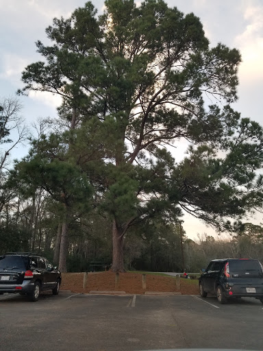 Park «McDade Park», reviews and photos, 3750 FM 2854 Rd, Conroe, TX 77304, USA