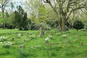 St. John's Cemetery image
