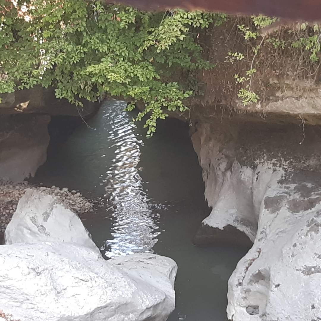 Photo n° 10 de l'avis de Anne.i fait le 13/08/2022 à 16:33