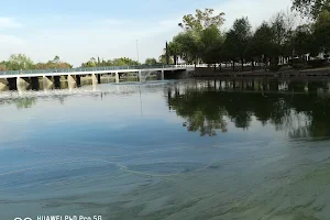 Laguna Del Parque Ecológico image
