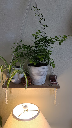 Home Improvement Store «The Home Depot», reviews and photos, 8000 Folsom Blvd, Sacramento, CA 95826, USA