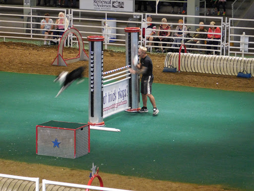 Tourist Attraction «State Fair of Texas», reviews and photos, 3921 Martin Luther King Jr Blvd, Dallas, TX 75210, USA