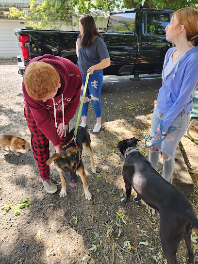 Lewis Clark Animal Shelter