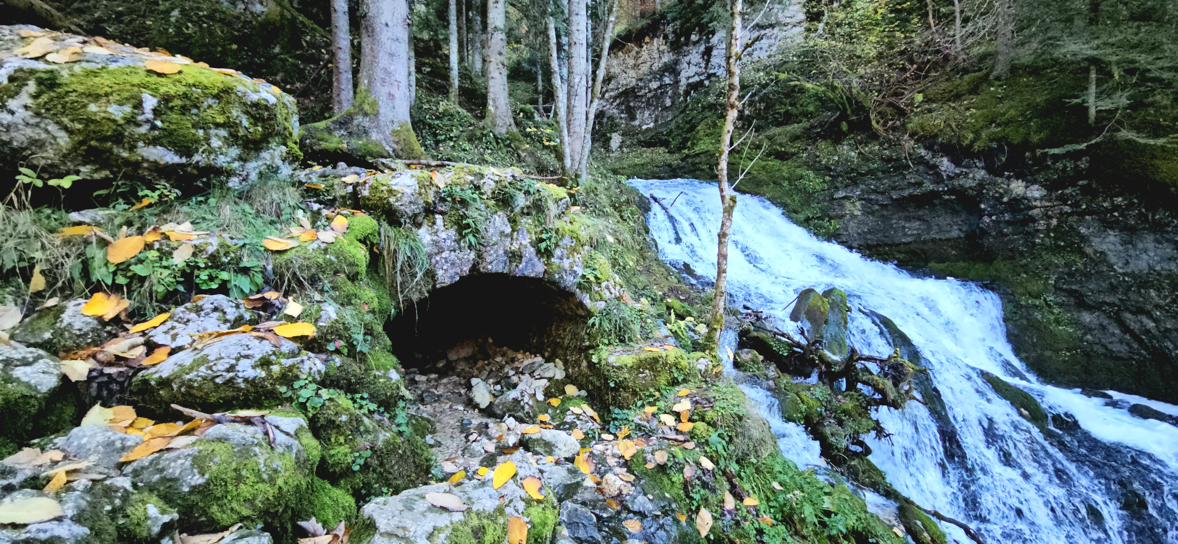 Photo n° 7 de l'avis de SAISONNIER.O fait le 14/11/2023 à 15:07