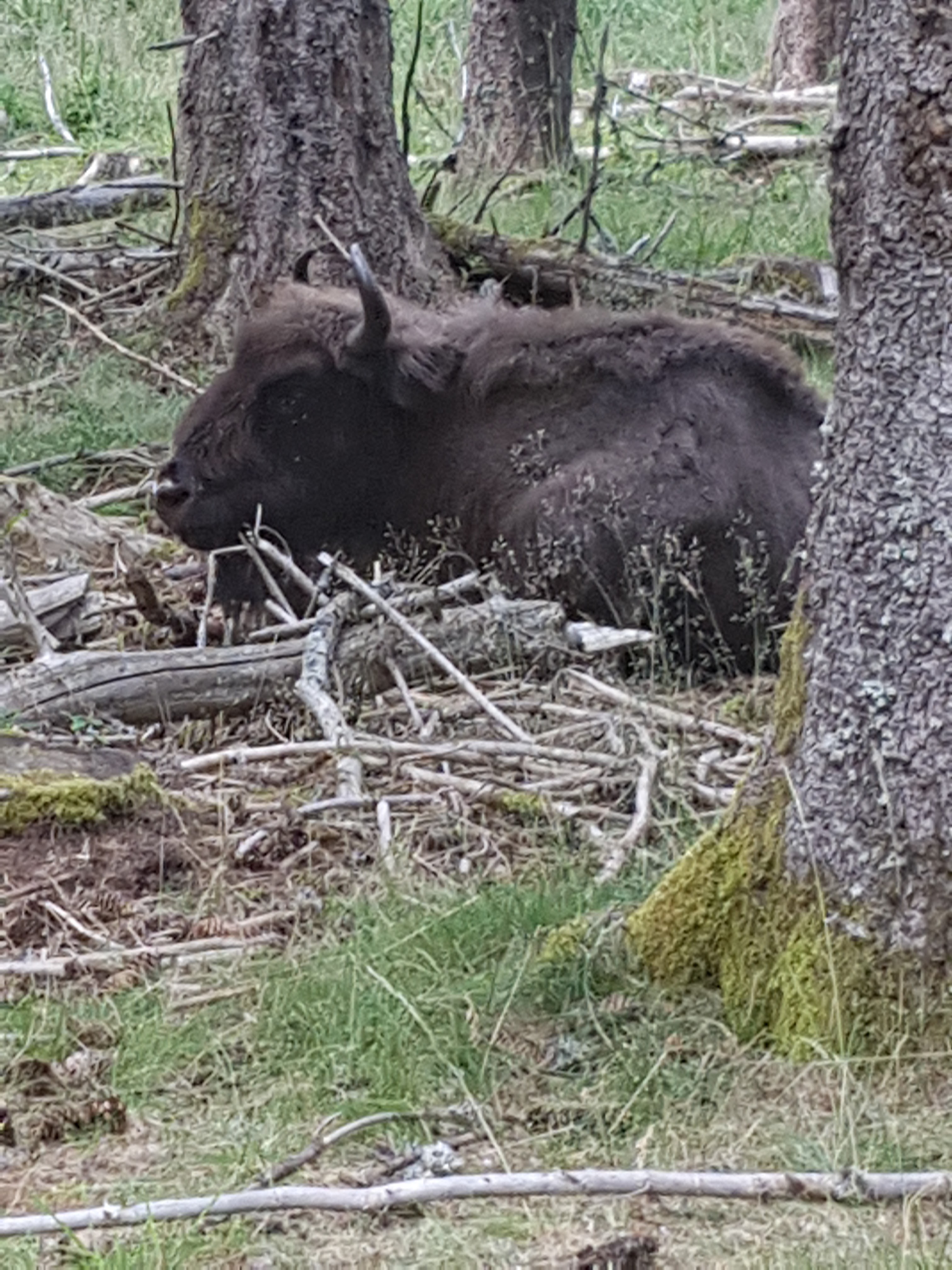 Photo n° 6 de l'avis de Mick.u fait le 26/07/2018 à 19:41