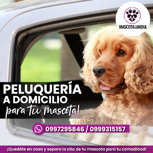 Opiniones de Veterinaria Mascotalandia - Santo Domingo de los Tsachilas en Santo Domingo de los Colorados - Veterinario