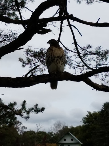 Public Golf Course «Chemawa Golf Course», reviews and photos, 350 Cushman Rd, North Attleborough, MA 02760, USA