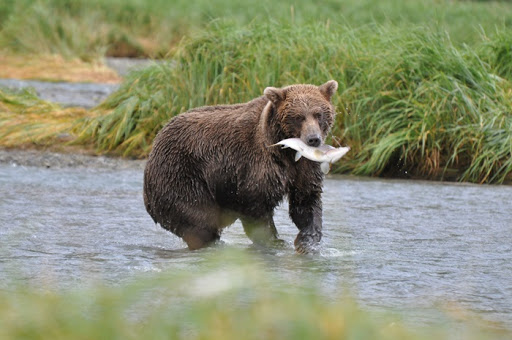 Travel Agency «Travel and Cruise World», reviews and photos, 71 Lake Link Cir SE, Winter Haven, FL 33884, USA