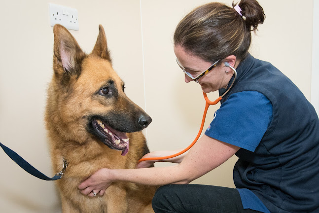 Reviews of Steffan Veterinary Services in Wrexham - Veterinarian