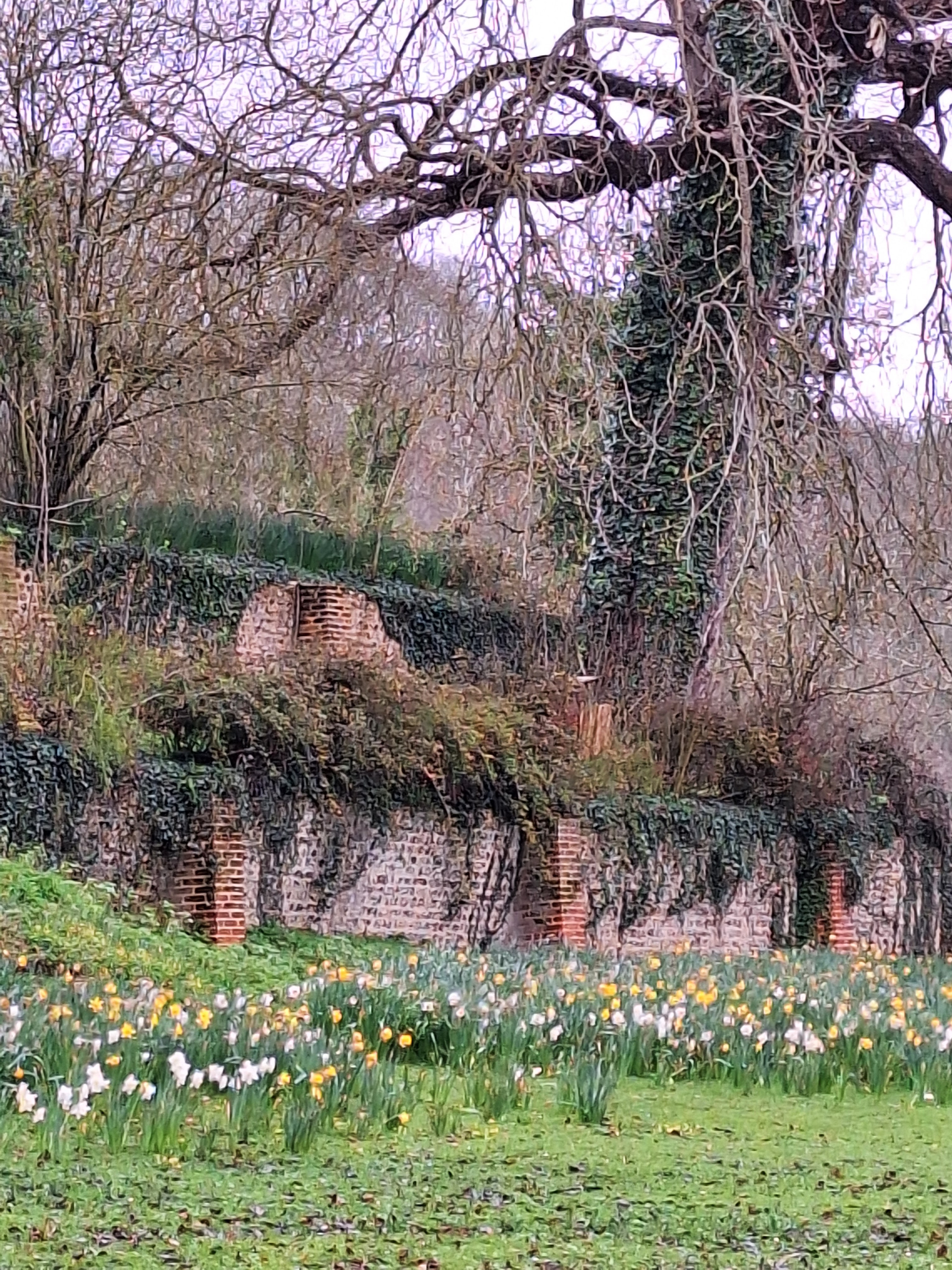 Photo n° 2 de l'avis de Valance.a fait le 19/03/2024 à 20:07