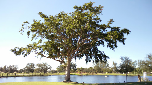 Golf Course «Pembroke Lakes Golf», reviews and photos, 10500 Taft St, Pembroke Pines, FL 33026, USA