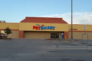 PetSmart image