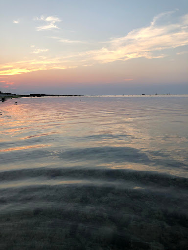 Top 20 cửa hàng akemi Huyện Lý Sơn Quảng Ngãi 2022