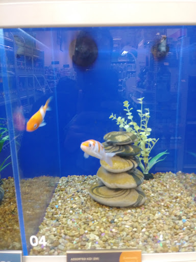 Pet Supply Store «PetSmart», reviews and photos, 3260 Stockton Hill Rd, Kingman, AZ 86409, USA