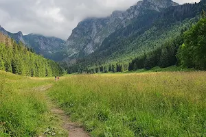 Wielka Polana Małołącka image