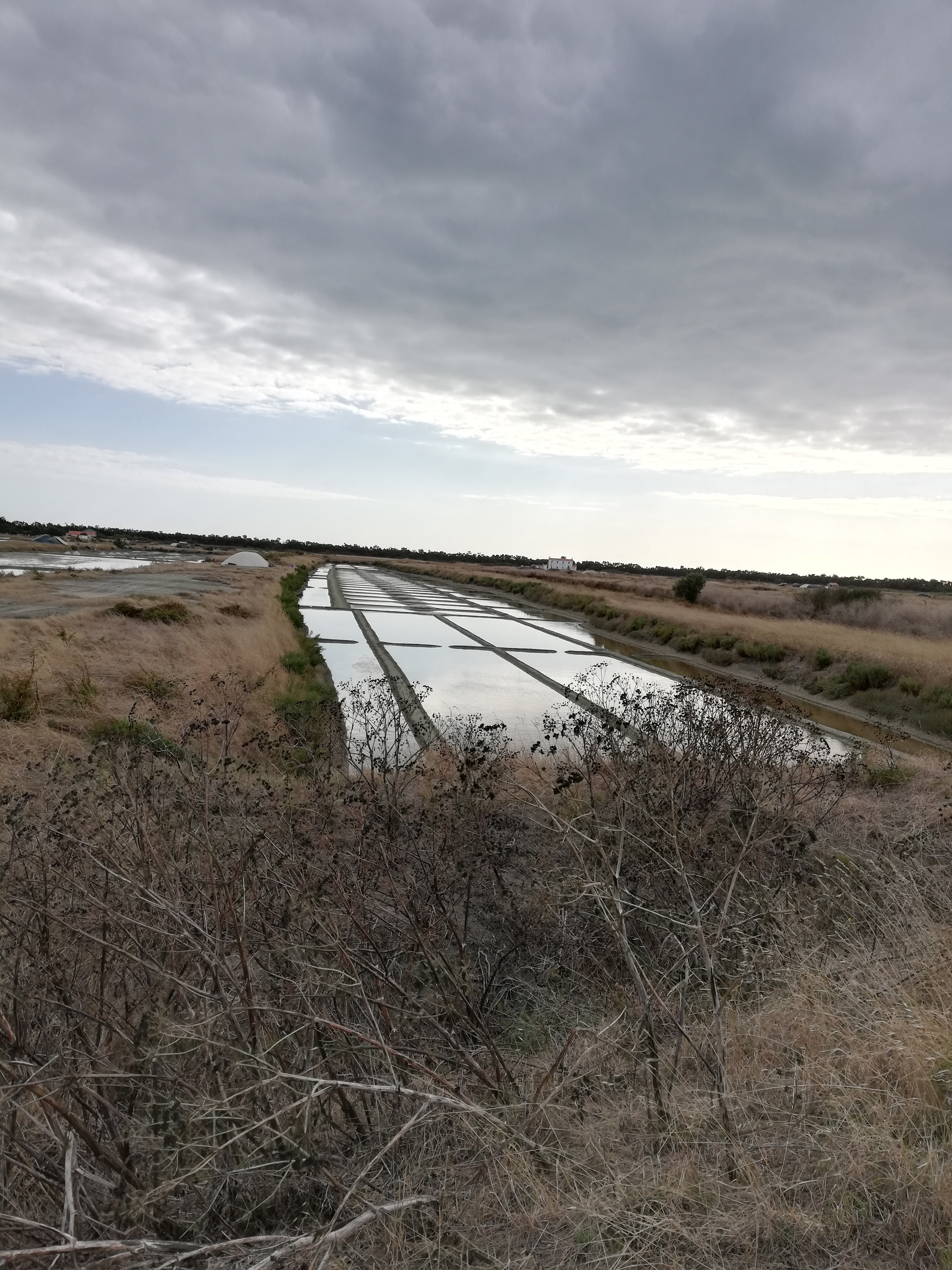 Photo n° 24 de l'avis de Bernard.O fait le 10/09/2019 à 02:01