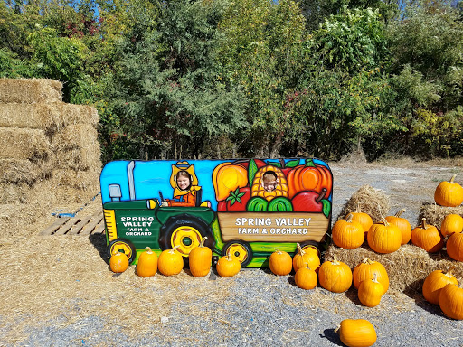 Supermarket «Spring Valley Farm Corner Market», reviews and photos, 22580 Northwestern Turnpike, Romney, WV 26757, USA