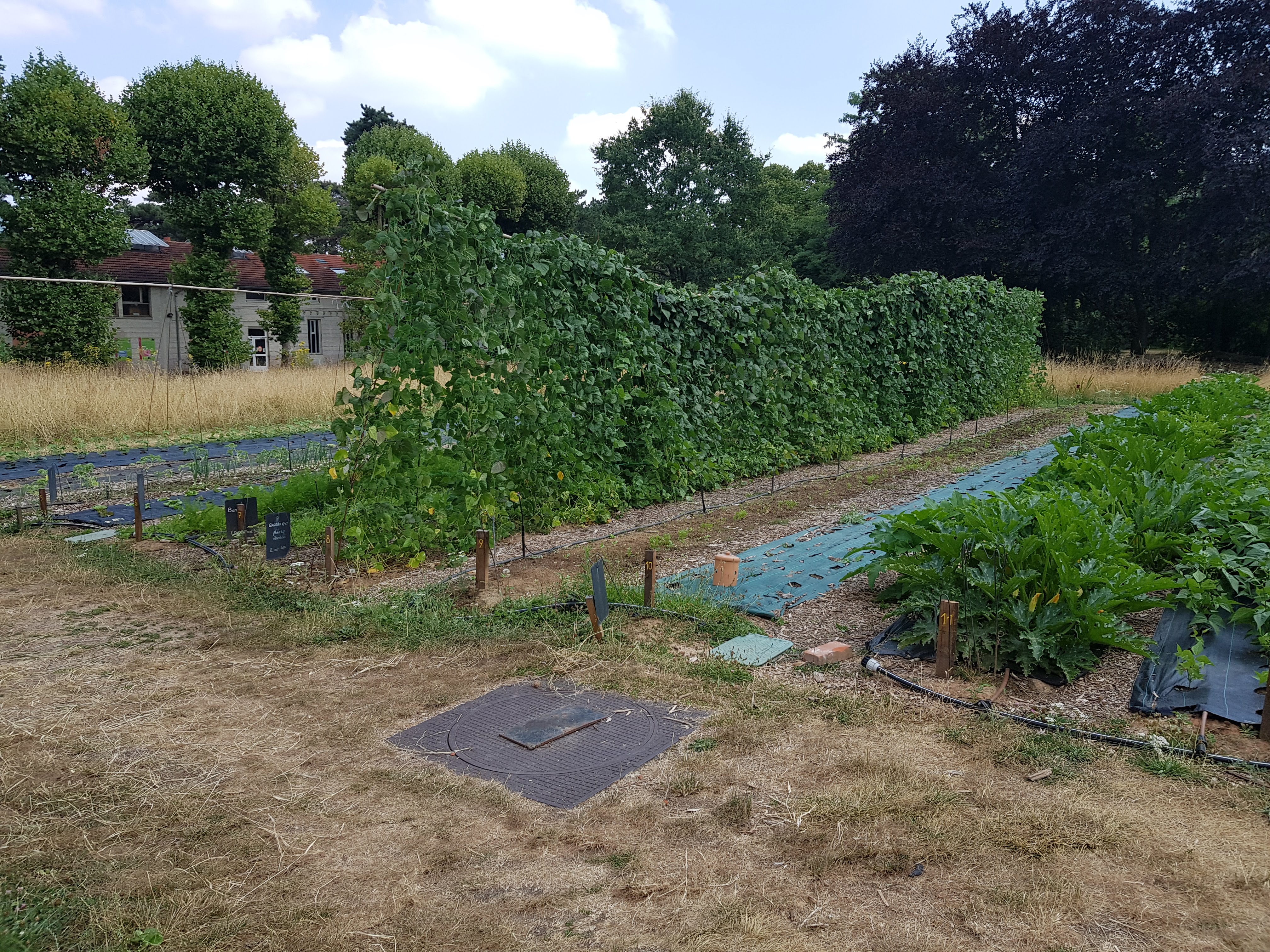 Photo n° 26 de l'avis de Philippe.C fait le 22/07/2018 à 23:15