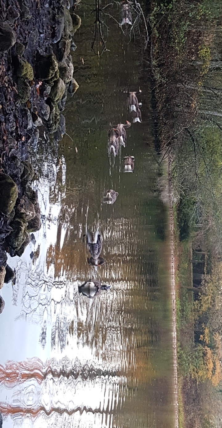 Photo n° 1 de l'avis de Julie.a fait le 17/11/2020 à 17:28