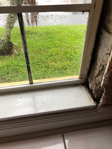 Home Inspector «Stellar Public Adjusting Services», reviews and photos