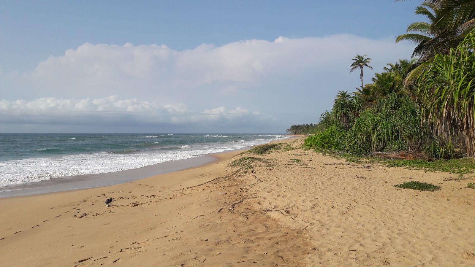 Kahandamodara Beach photo #7