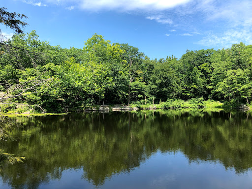 Nature Preserve «John Burroughs Slabsides», reviews and photos, Burroughs Dr, West Park, NY 12493, USA